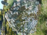 image of grave number 762860